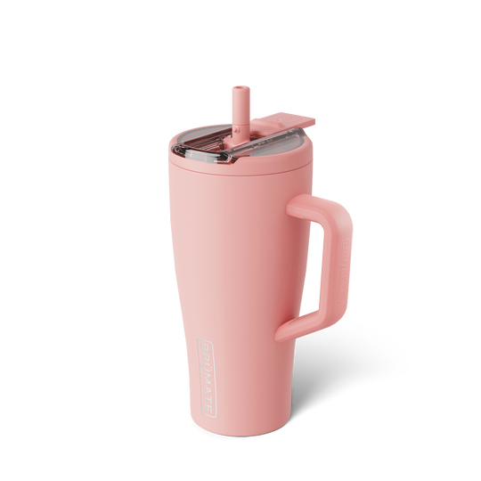 Era Flip 30oz | Guava