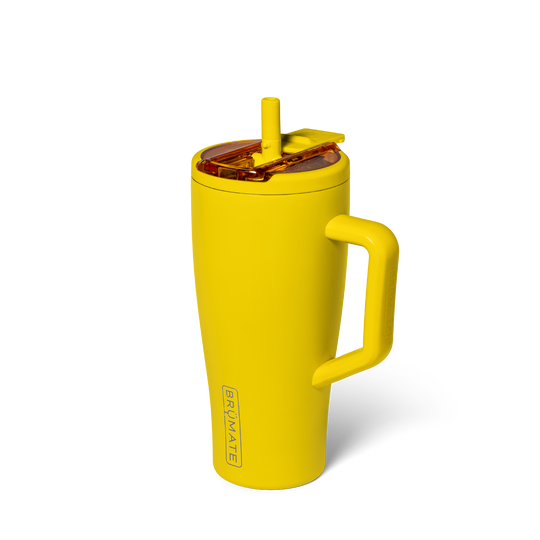 Era Flip 30oz | Pineapple